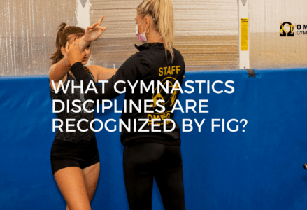 gymnastics disciplines