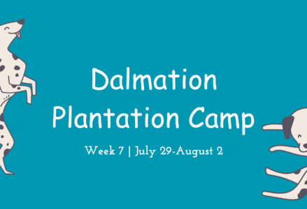 7 SUMMER CAMP 2024: Week 7: Dalmatian Plantation Camp OMEGA Gymnastics