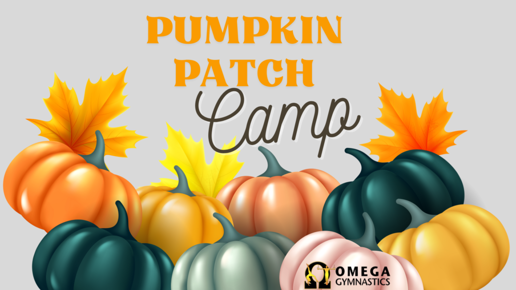 Turkey Day Camp OMEGA Gymnastics