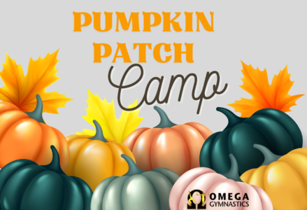 PUMPKIN PATCH SCHOOLS OUT 1 Pumpkin Patch Camp OMEGA Gymnastics