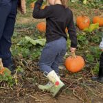IMG_2431 IMG 2431 Discovery Preschool OMEGA Gymnastics