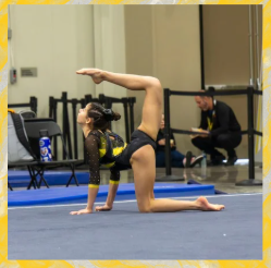 Screenshot 2026 02 16 174408 Girls Team Tryouts OMEGA Gymnastics