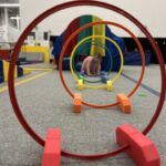 IMG 7278 Discovery Preschool OMEGA Gymnastics